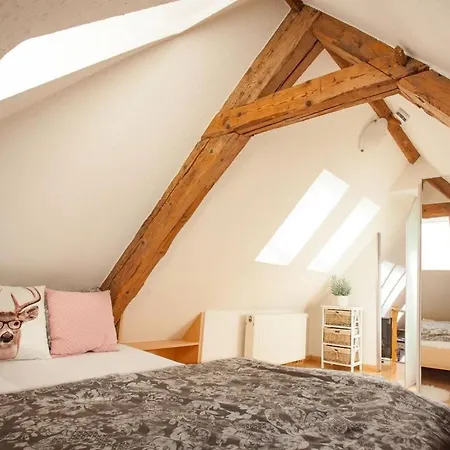 Holiday Apartment